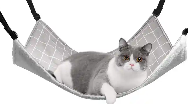 Luxury Pet Tent and Hammock