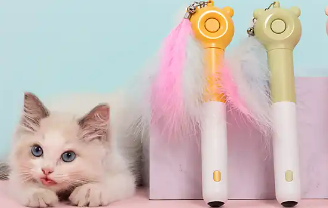 Multifunctional Cat Teaser  