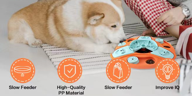 Slow leakage Food Pet Bowl